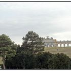 Spaziergang in schönbrunn mit blick auf die gloriette