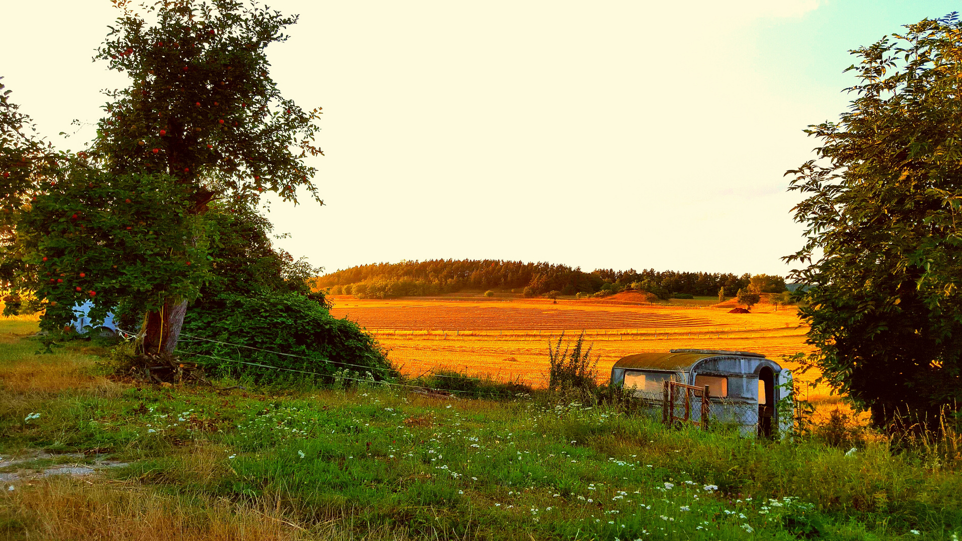 Spaziergang in Westerhausen 