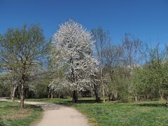 Spaziergang in Zeiten von Corona 