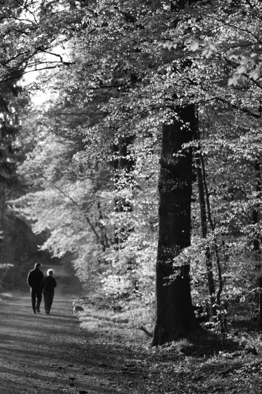 Spaziergang in Zweisamkeit