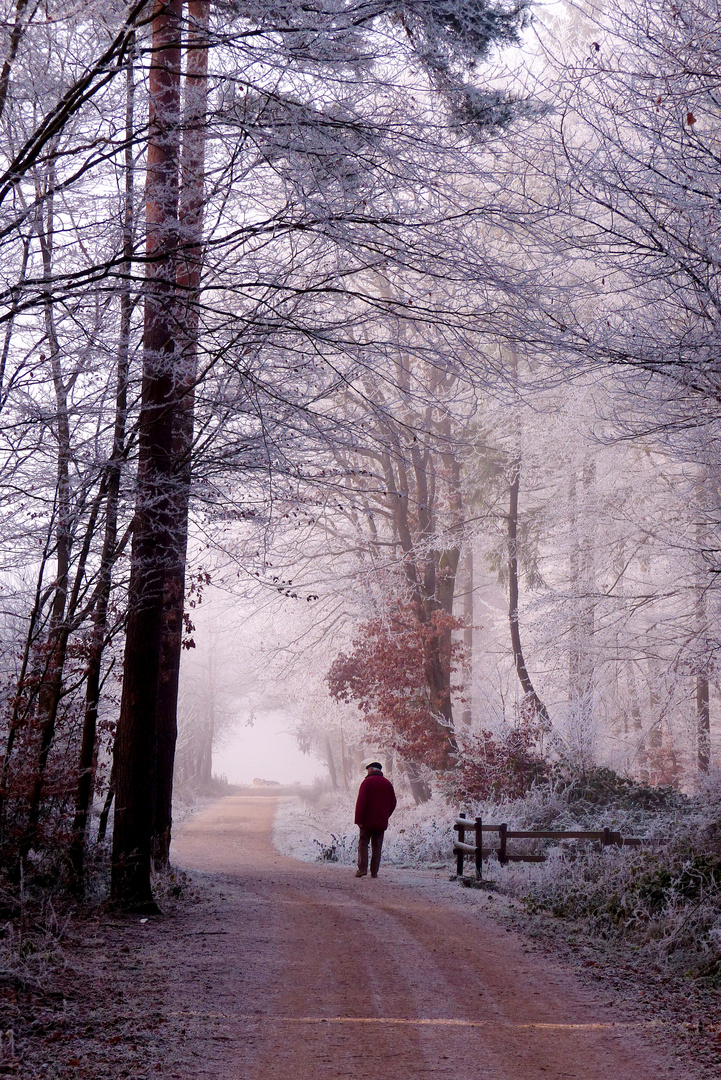 Spaziergang ins Ungewisse