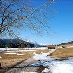 spaziergang mit alpenblick....