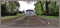 Spaziergang mit Amy, Jagdschloss Falkenlust