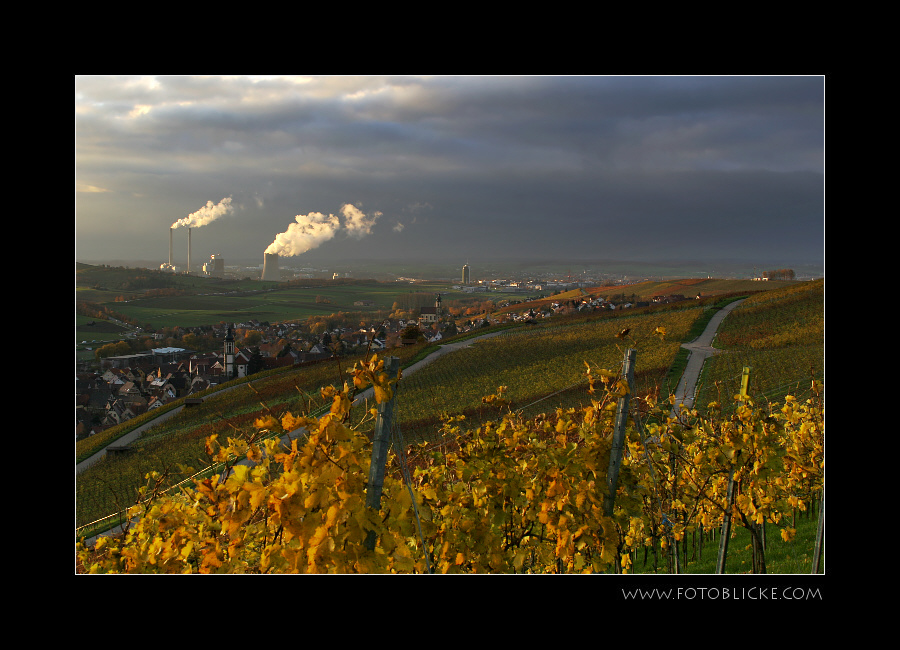 Spaziergang mit Ausblick #2 (94)