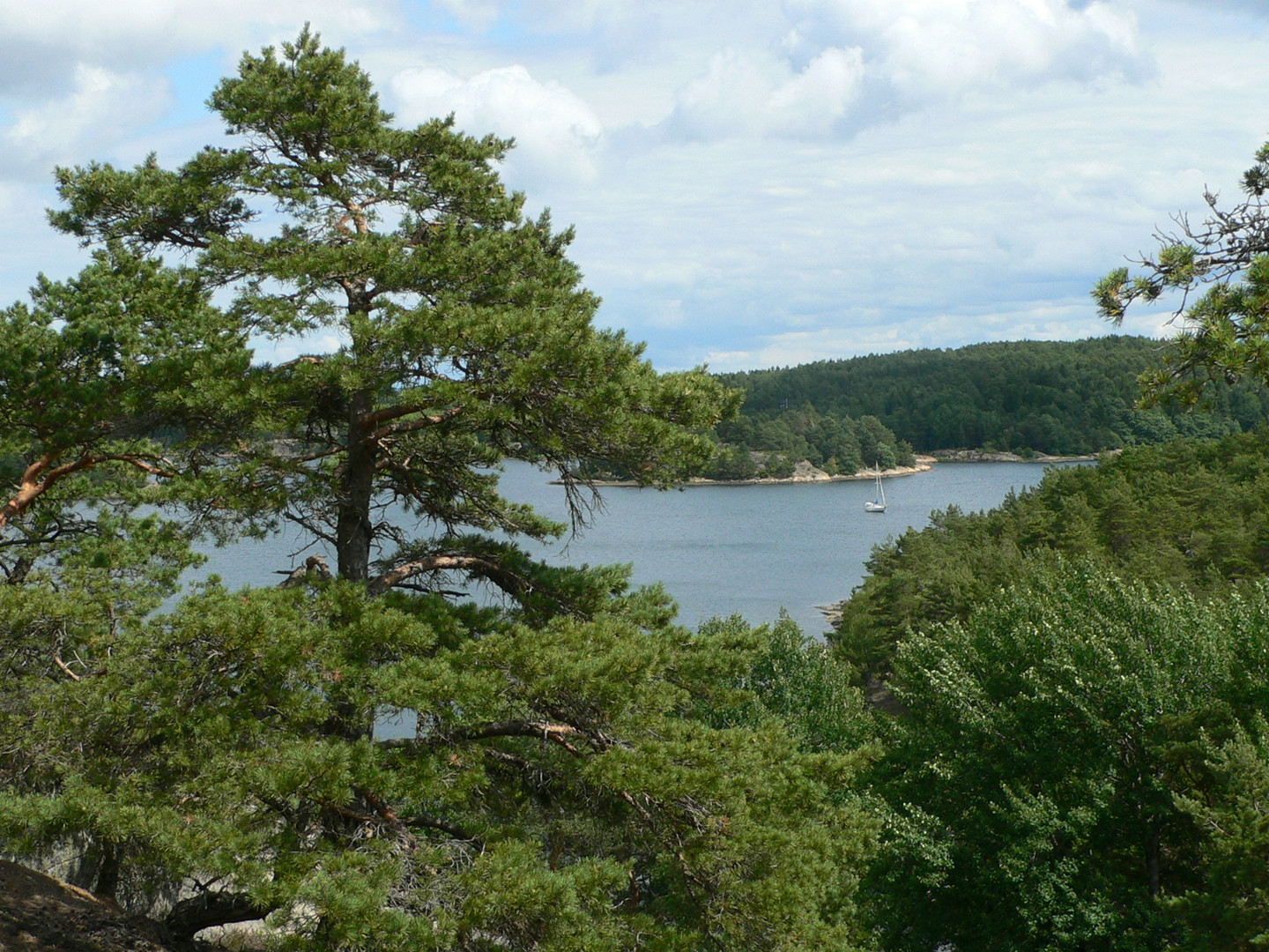 Spaziergang mit Ausblick