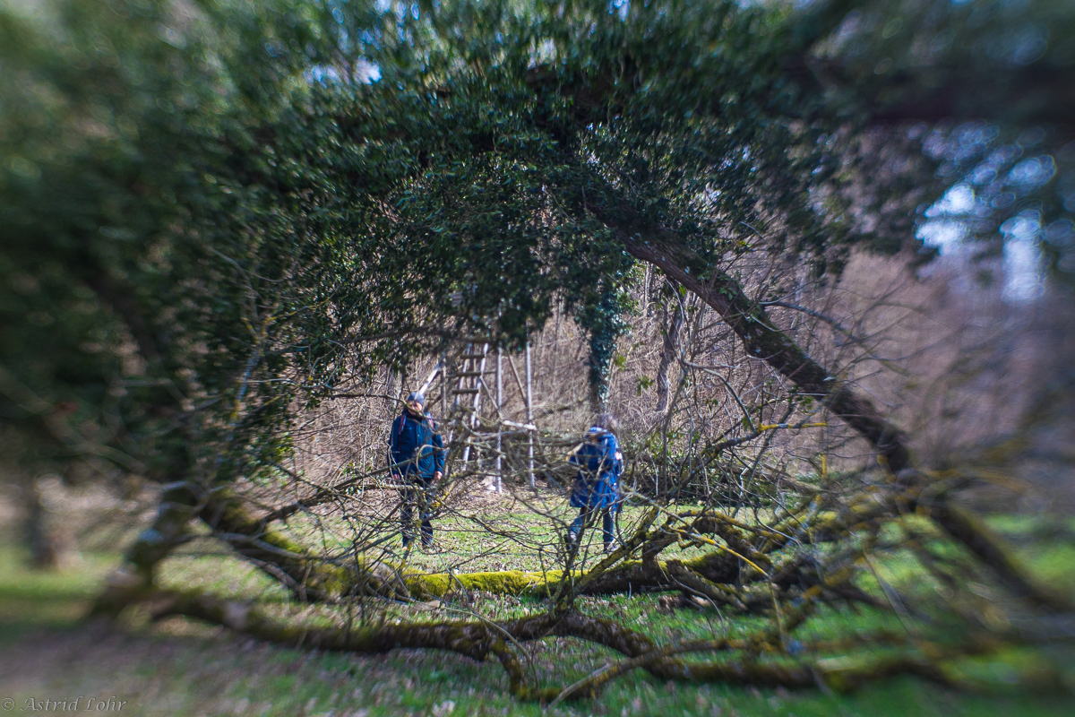 Spaziergang mit dem Lensbaby | 2