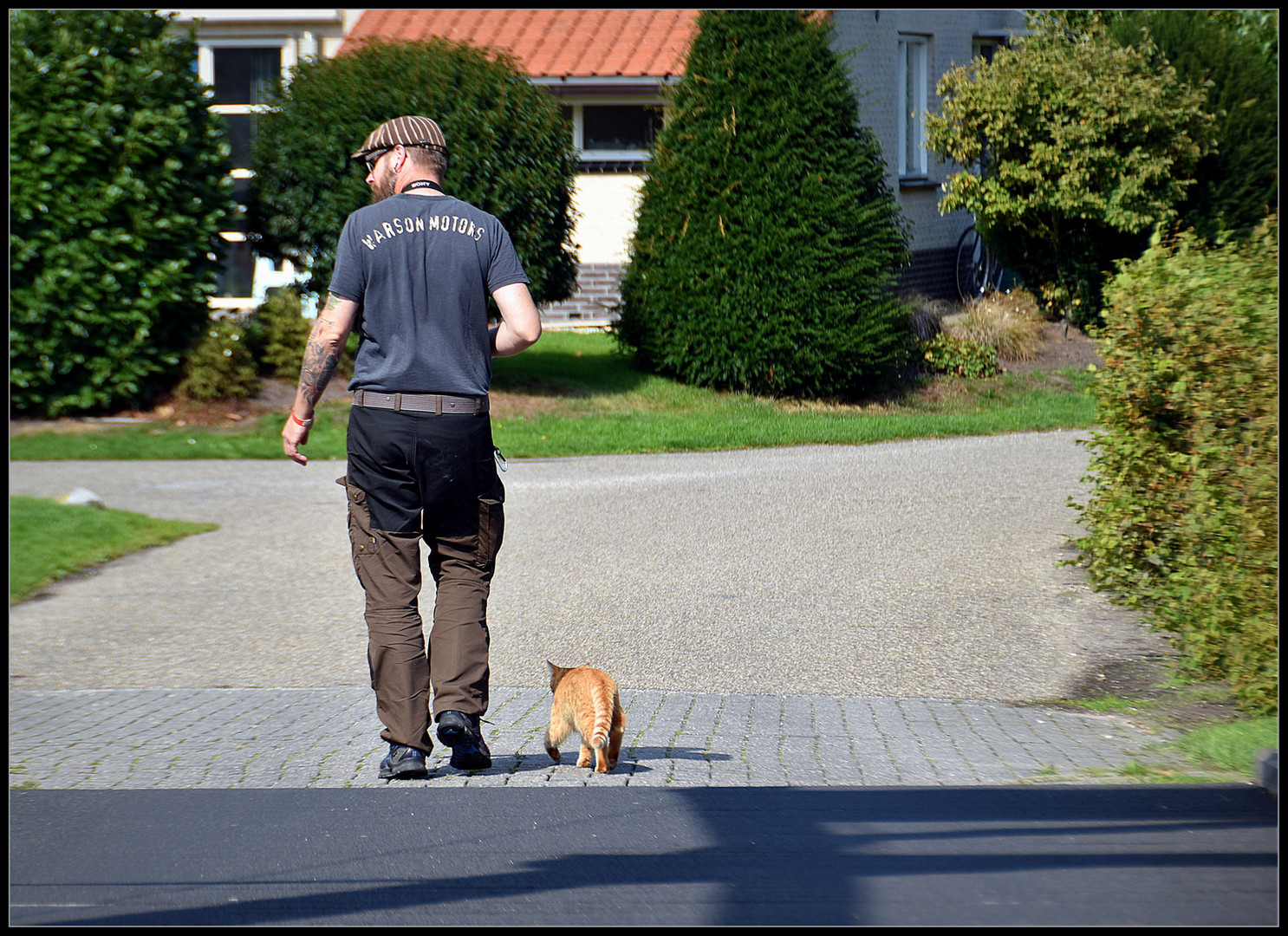 ... Spaziergang mit dem Stubentiger ...