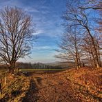 Spaziergang mit den Hunden