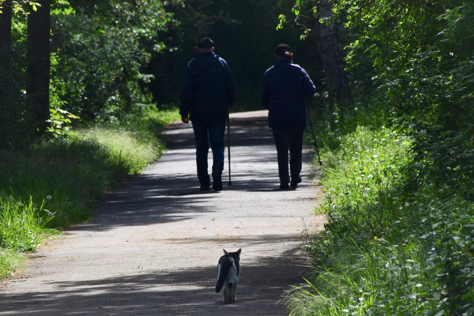 Spaziergang mit der Katze .......