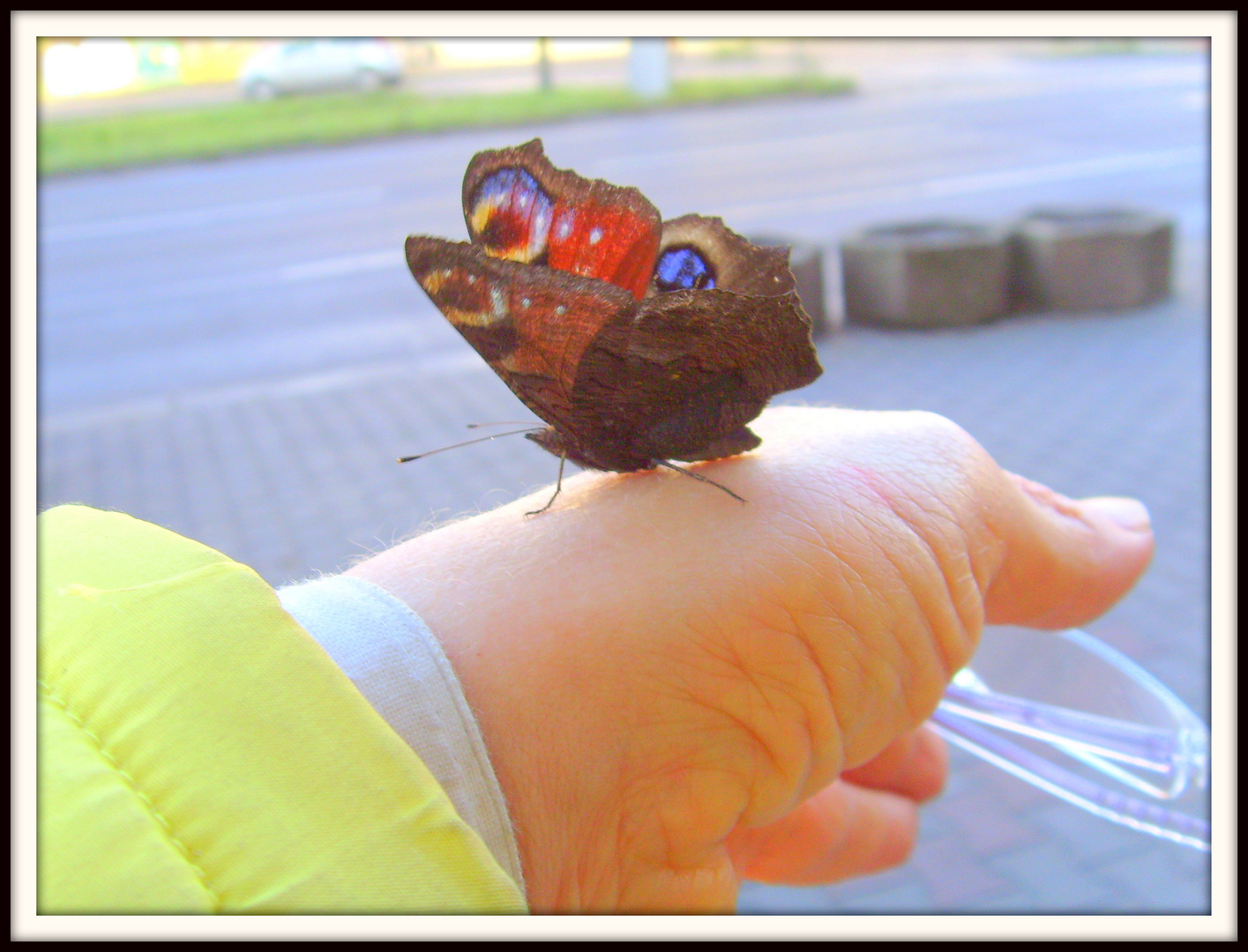 Spaziergang mit einem Schmetterling