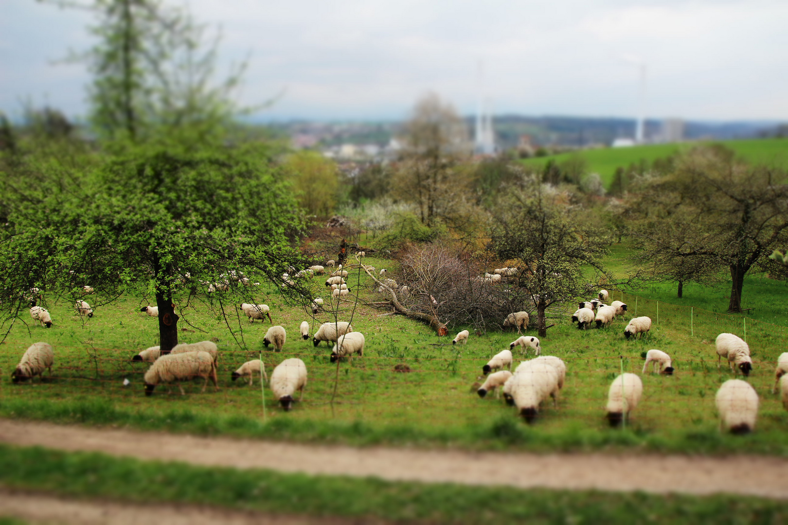 Spaziergang mit Eos 600D