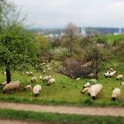 Spaziergang mit Eos 600D