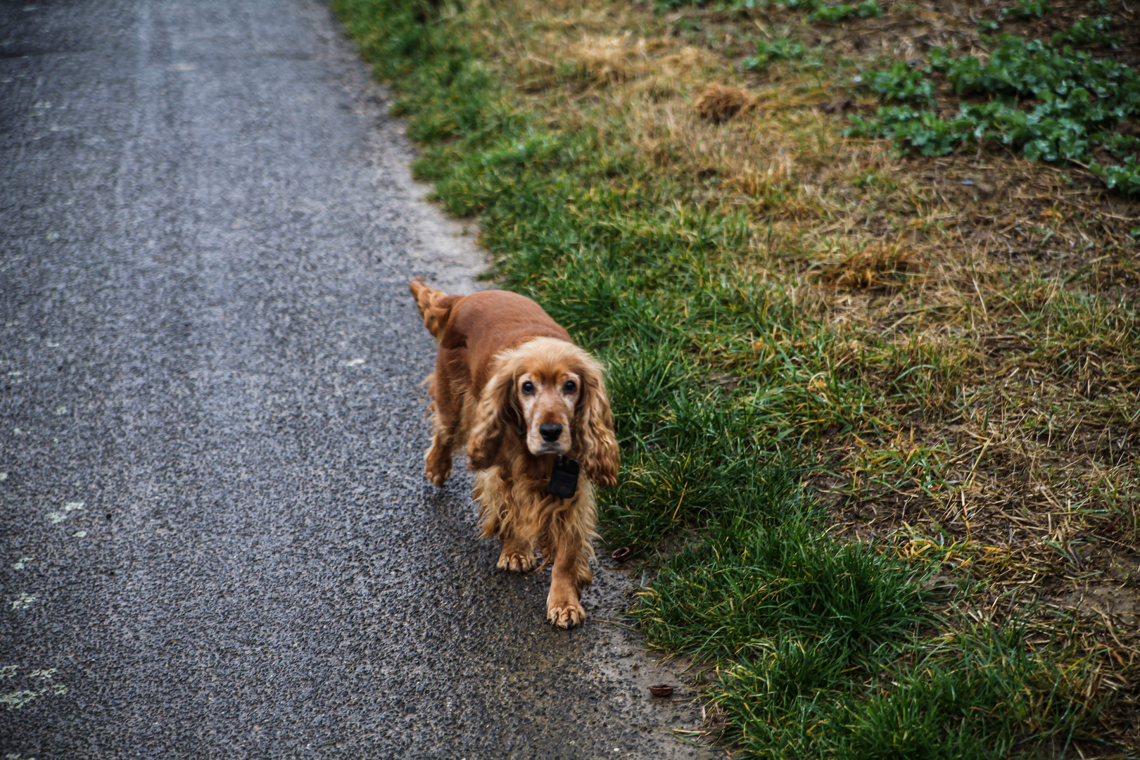 Spaziergang mit...