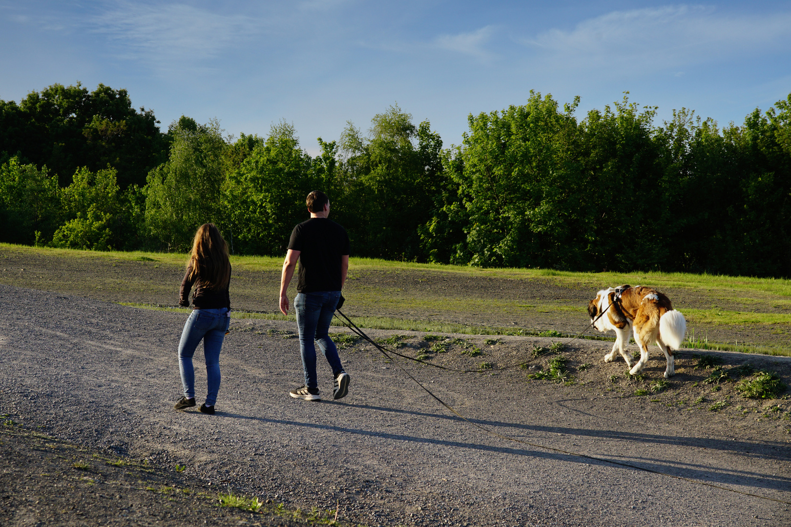 Spaziergang mit Hund
