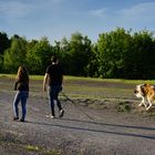 Spaziergang mit Hund
