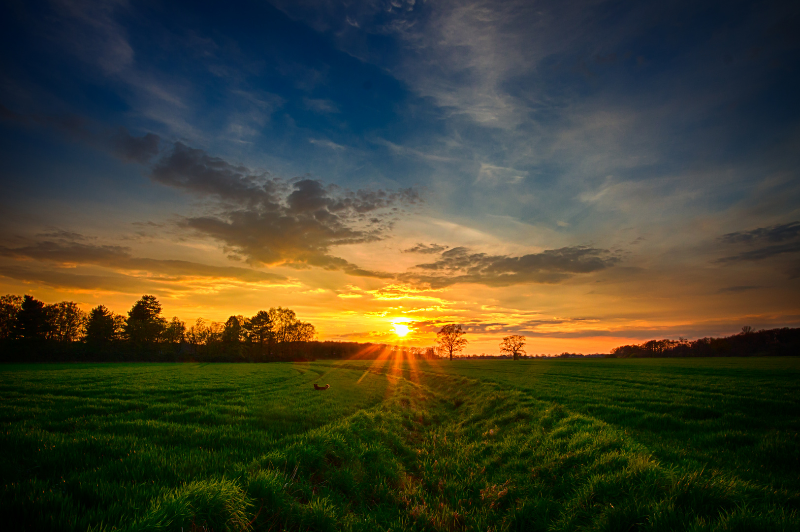 Spaziergang mit Hund