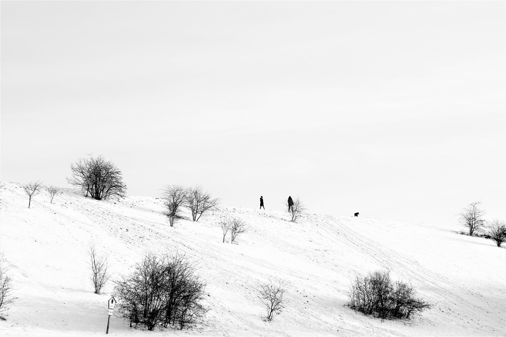 Spaziergang mit Hund