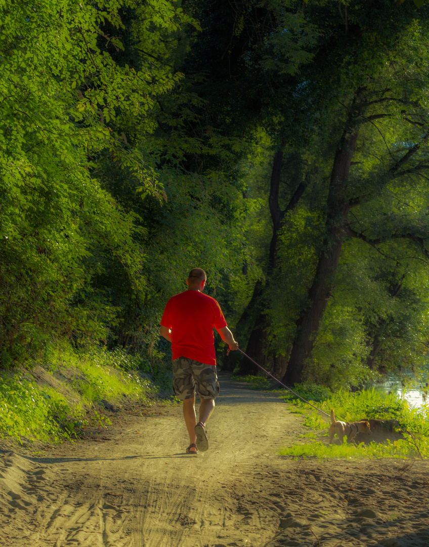 Spaziergang mit Hund