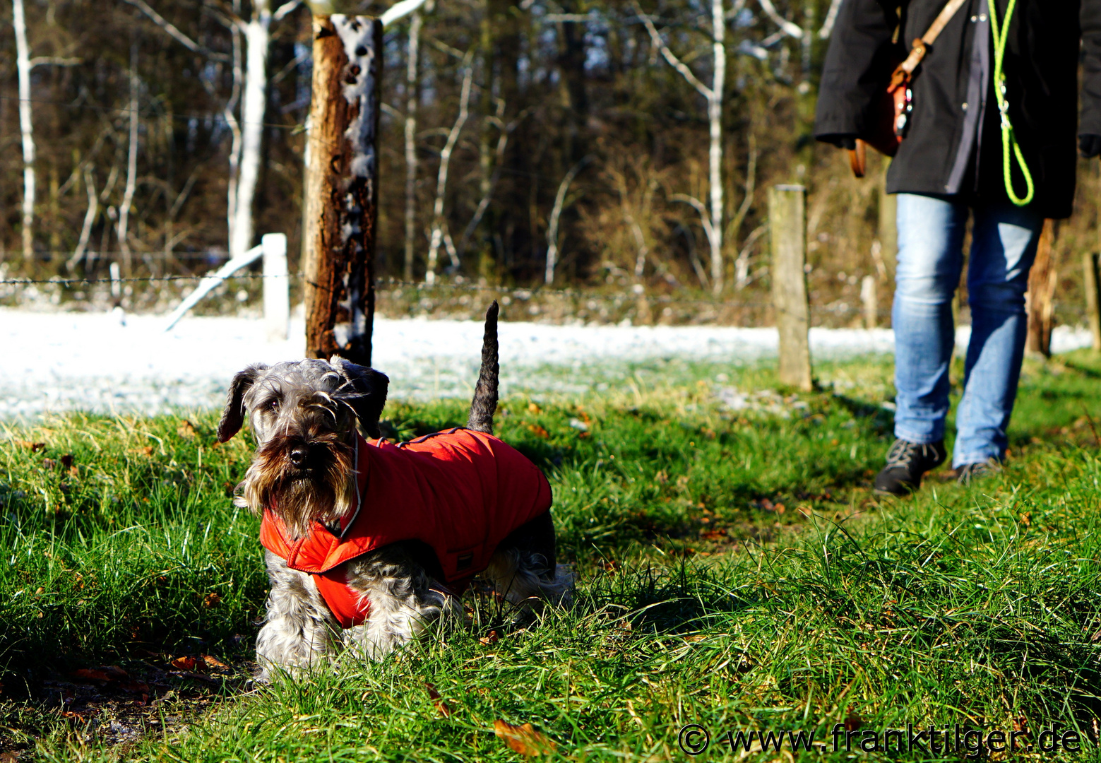 Spaziergang mit Hund....... ;-)