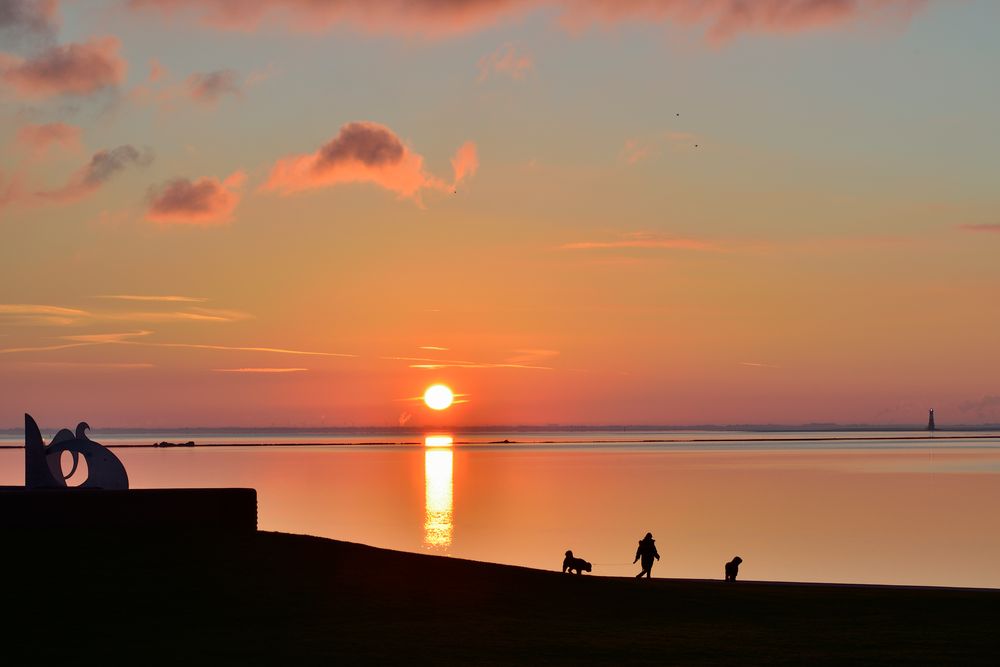 Spaziergang mit Hund