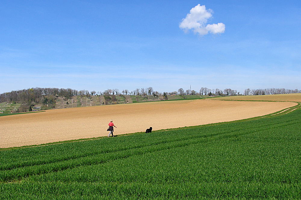 Spaziergang mit Hund