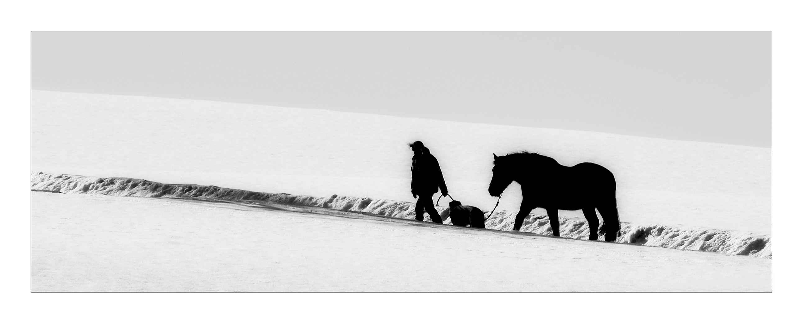 Spaziergang mit Hund und Pferd.