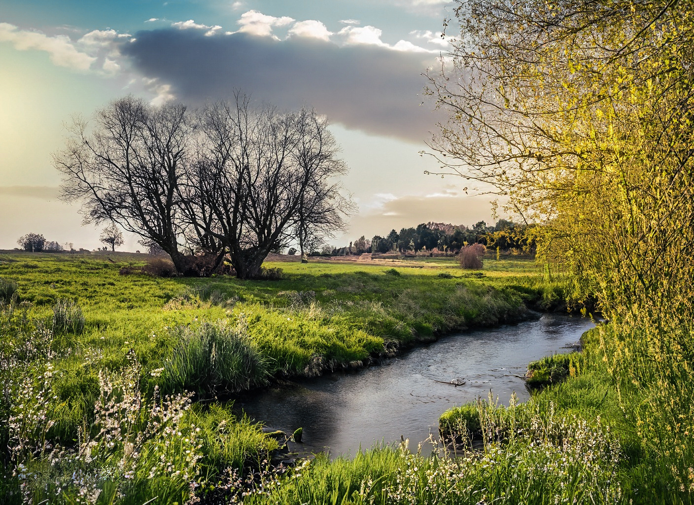 Spaziergang mit KI