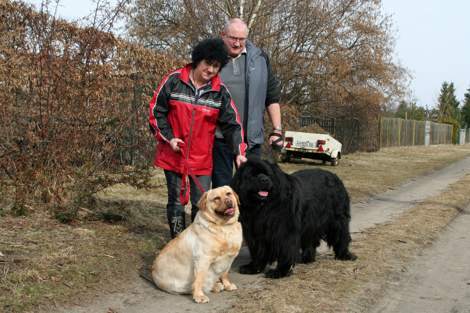 Spaziergang mit Labrador und Neufundländer