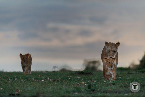 Spaziergang mit Mama