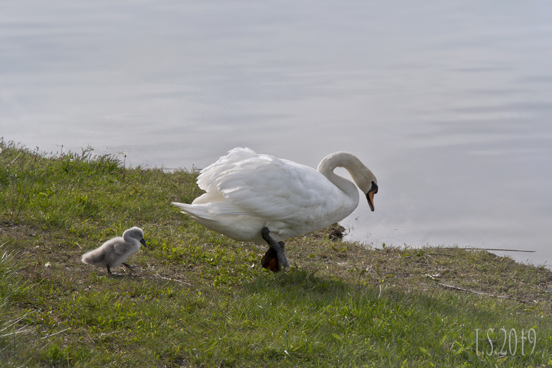 Spaziergang mit Mama