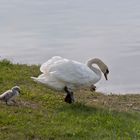 Spaziergang mit Mama