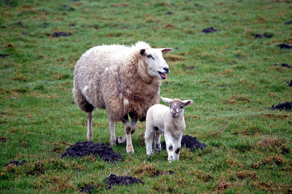 Spaziergang mit Mama