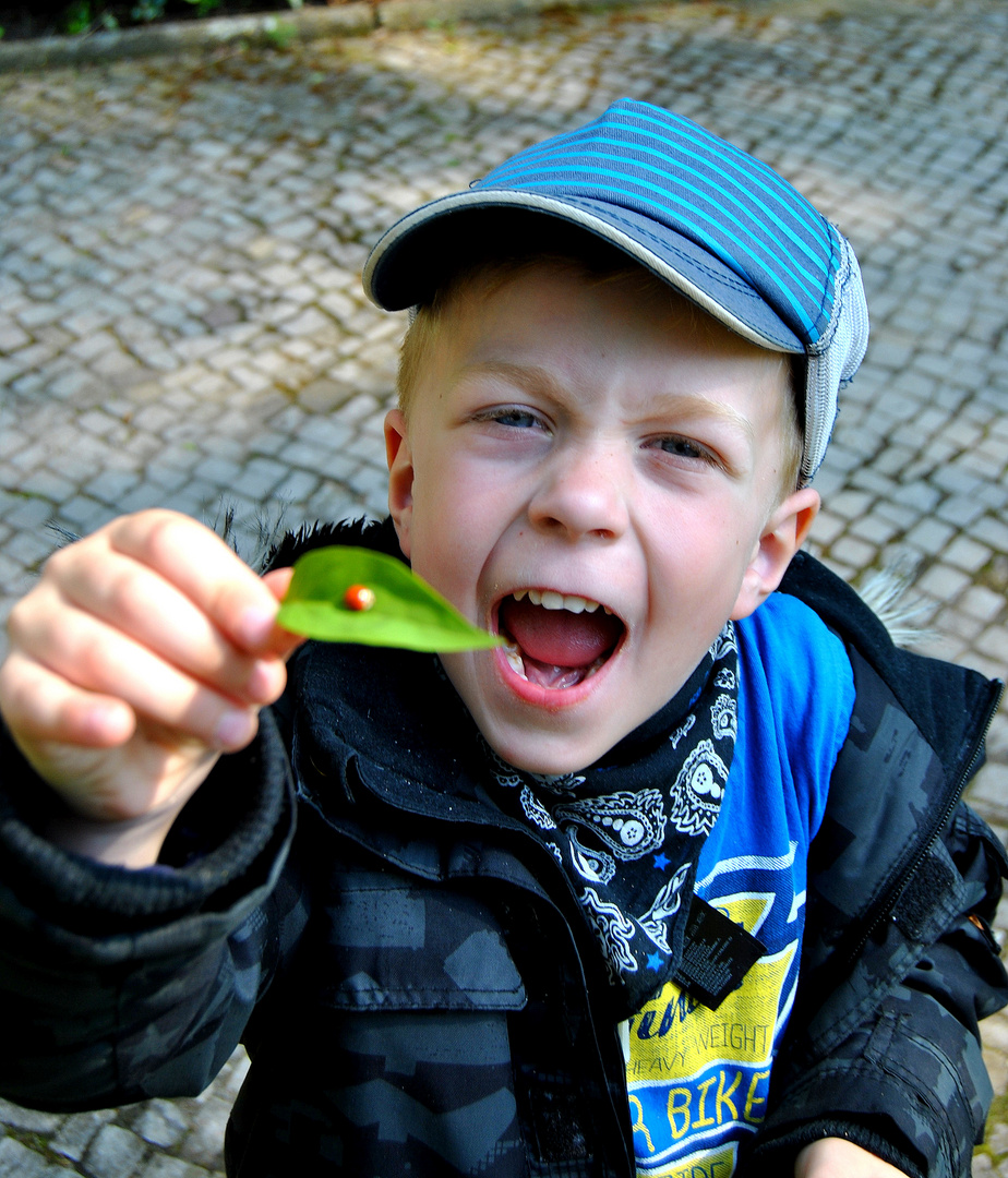 Spaziergang mit meinen Enkel