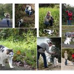 Spaziergang mit Motze-Paul