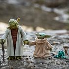 Spaziergang mit Onkel Yoda