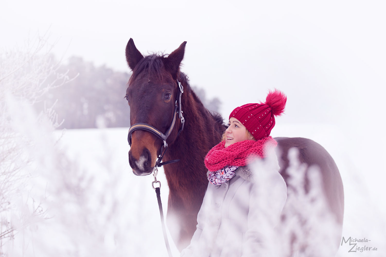 Spaziergang mit Pferd im Schnee