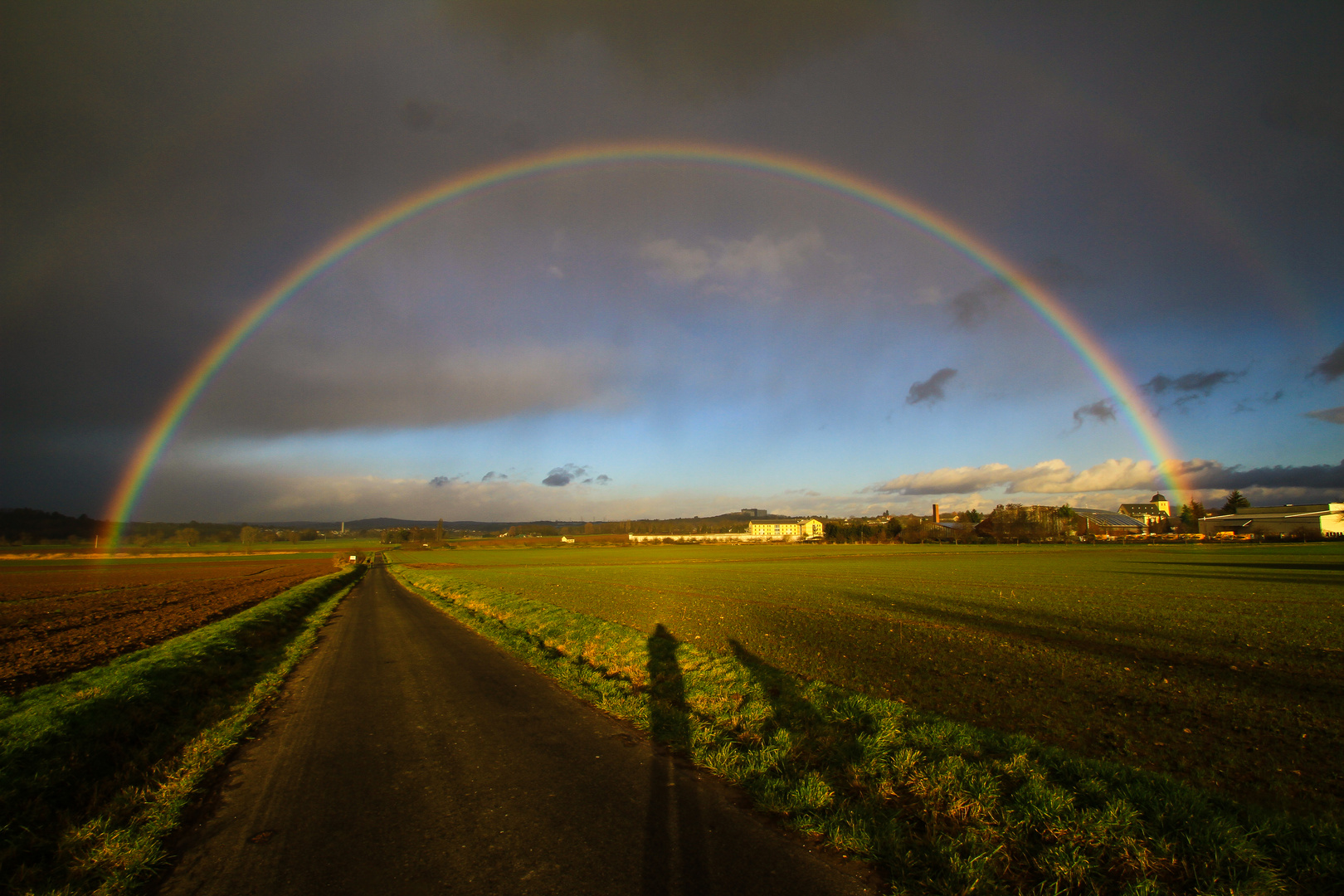 Spaziergang mit unserer Shannon 02