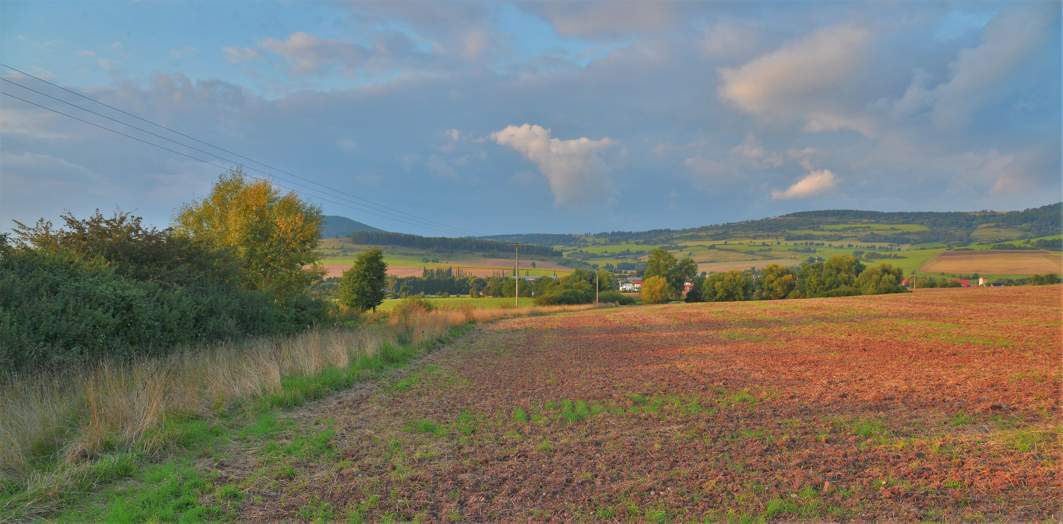 Spaziergang mit Wick-Emily (paseando con Wicky-Emily)