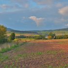 Spaziergang mit Wick-Emily (paseando con Wicky-Emily)