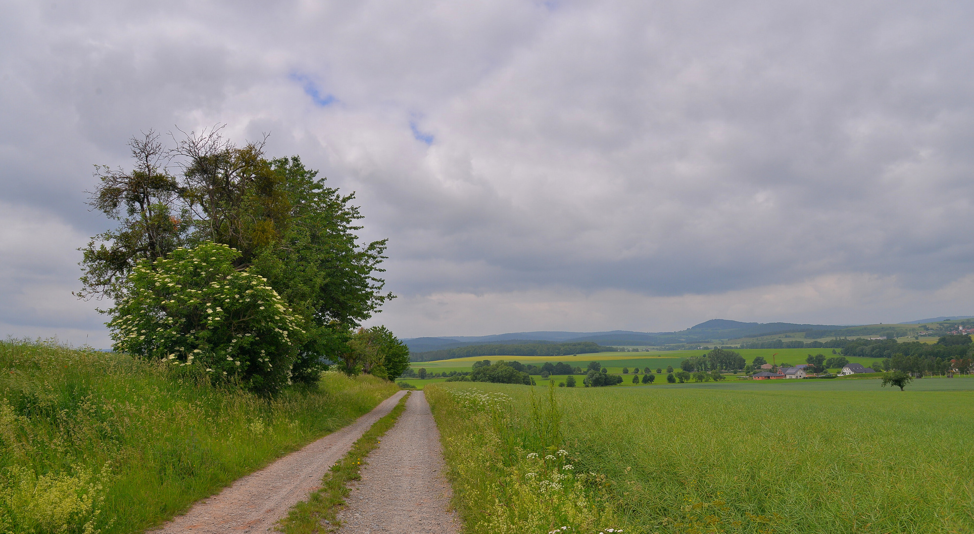 Spaziergang mit Wicky-Emily, 2 (paseando con Wicky-Emily, 2)