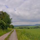 Spaziergang mit Wicky-Emily, 2 (paseando con Wicky-Emily, 2)