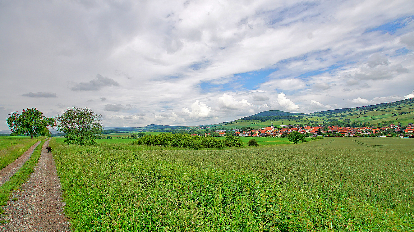 Spaziergang mit Wicky-Emily, 2 (paseando con Wicky-Emily, 2)