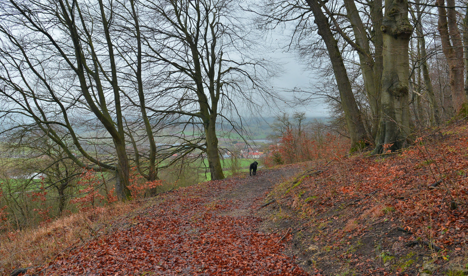 Spaziergang mit Wicky-Emily, 3 (paseo con Wicky-Emily, 3)