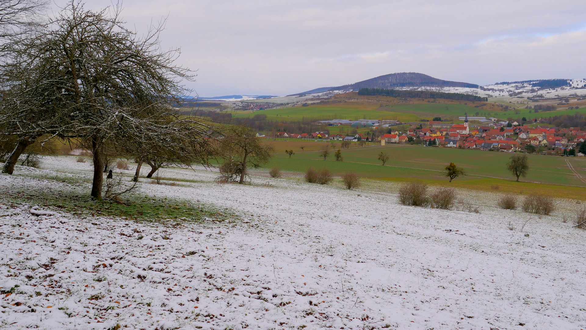 Spaziergang mit Wicky-Emily, 4 (paseando con Wicky-Emily, 4)