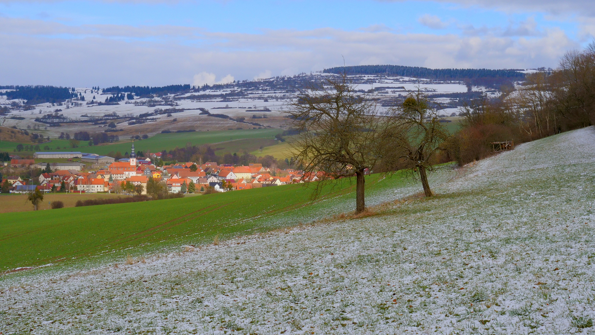 Spaziergang mit Wicky-Emily, 5 (paseando con Wicky-Emily, 5)