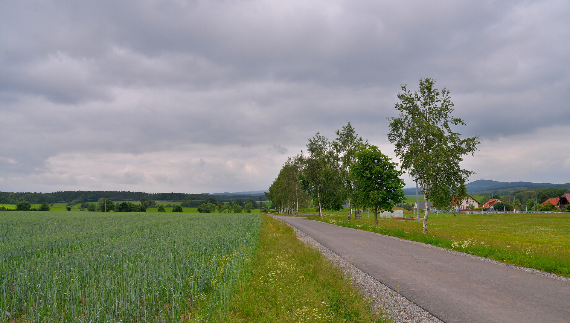 Spaziergang mit Wicky-Emily, fast schon wieder zuhause (paseando con Wicky-Emily, casi en casa)