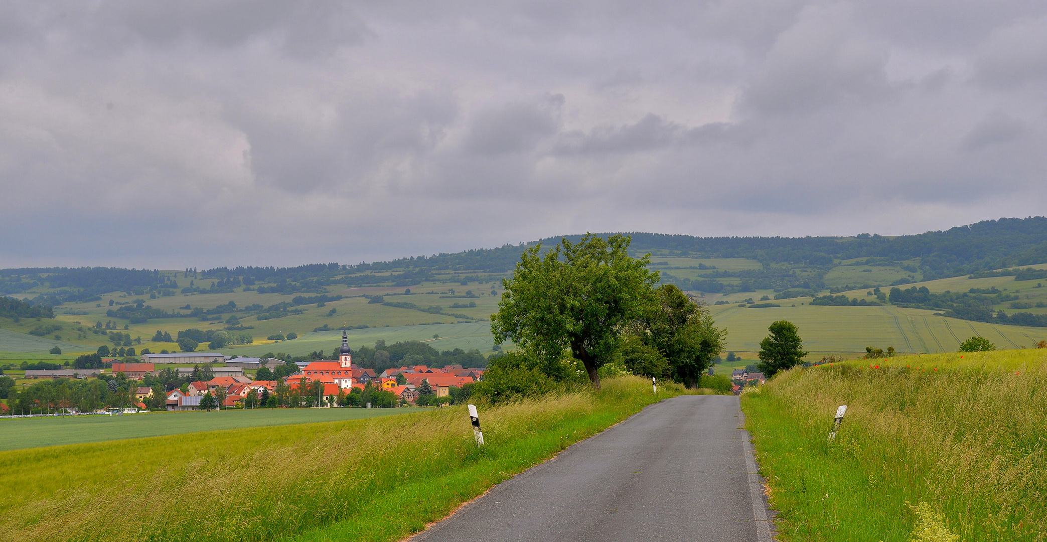 Spaziergang mit Wicky-Emily (paseando con Wicky-Emily)