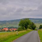 Spaziergang mit Wicky-Emily (paseando con Wicky-Emily)