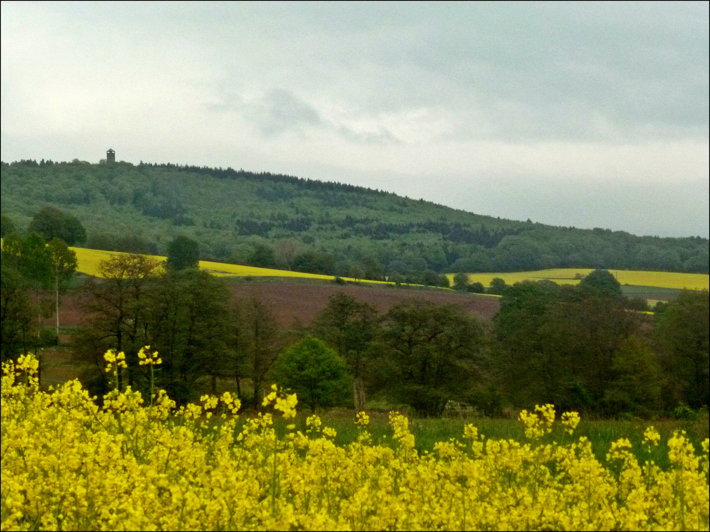 Spaziergang nach Kammerborn