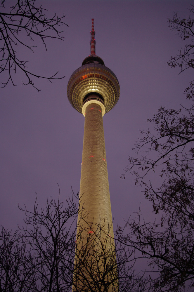 Spaziergang nach Weihnachten 1